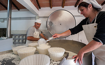 Fabrication de fromage
