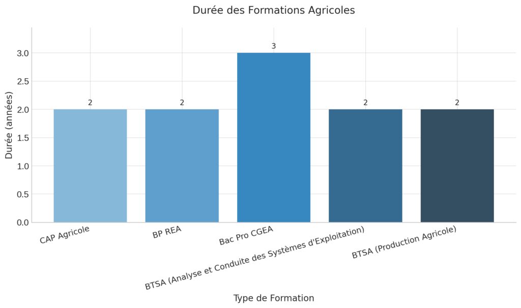 Formation et compétences requises